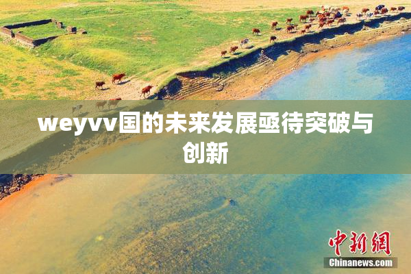 weyvv国的未来发展亟待突破与创新