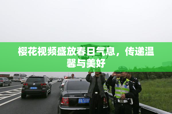 樱花视频盛放春日气息，传递温馨与美好