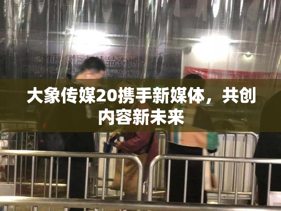 大象传媒20携手新媒体，共创内容新未来