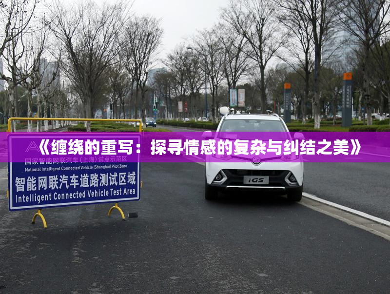 《缠绕的重写：探寻情感的复杂与纠结之美》