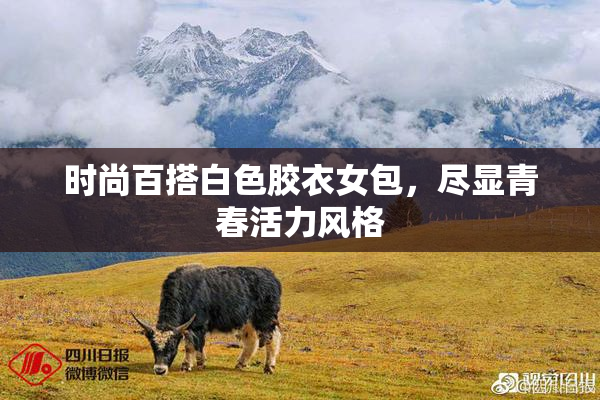 时尚百搭白色胶衣女包，尽显青春活力风格