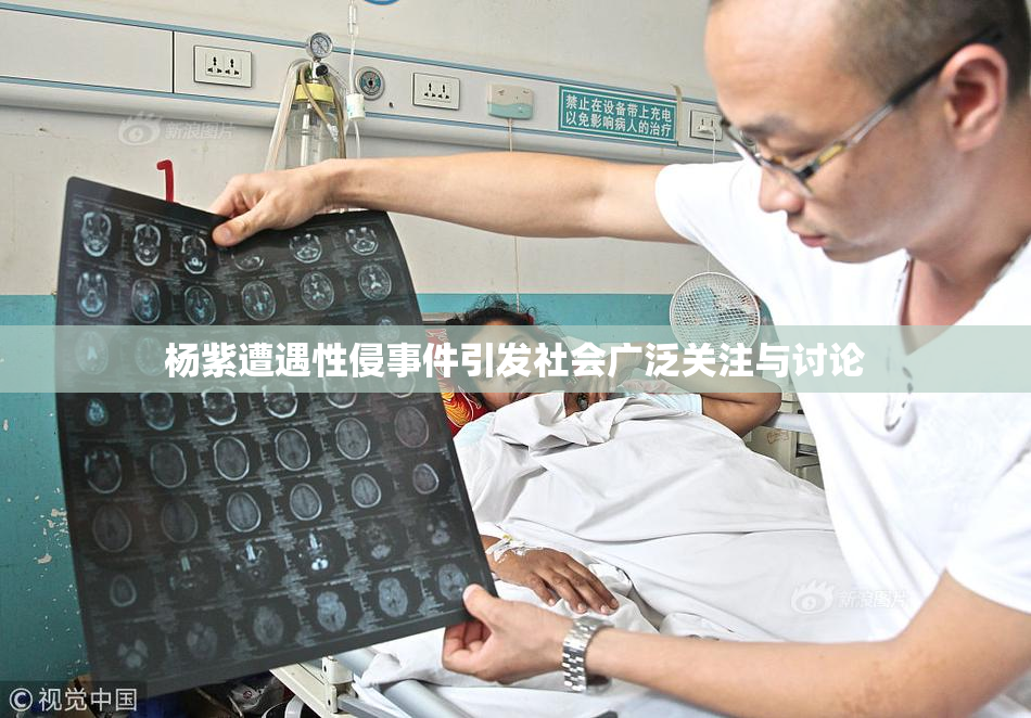 杨紫遭遇性侵事件引发社会广泛关注与讨论