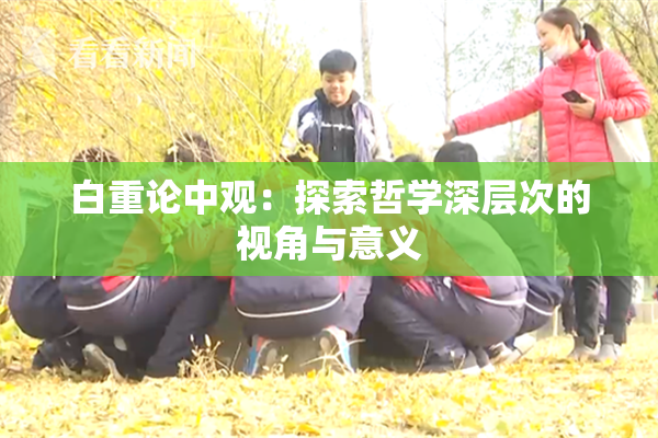 白重论中观：探索哲学深层次的视角与意义