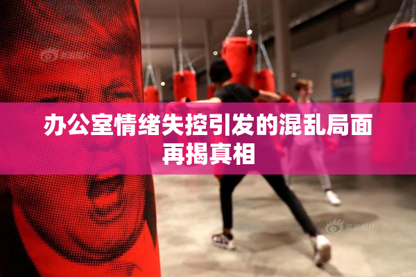 办公室情绪失控引发的混乱局面再揭真相