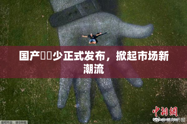 国产❌‌少正式发布，掀起市场新潮流