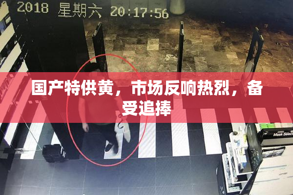 国产特供黄，市场反响热烈，备受追捧