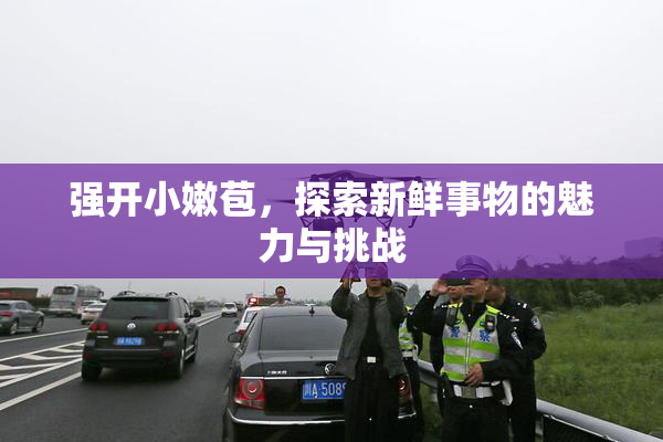 强开小嫩苞，探索新鲜事物的魅力与挑战