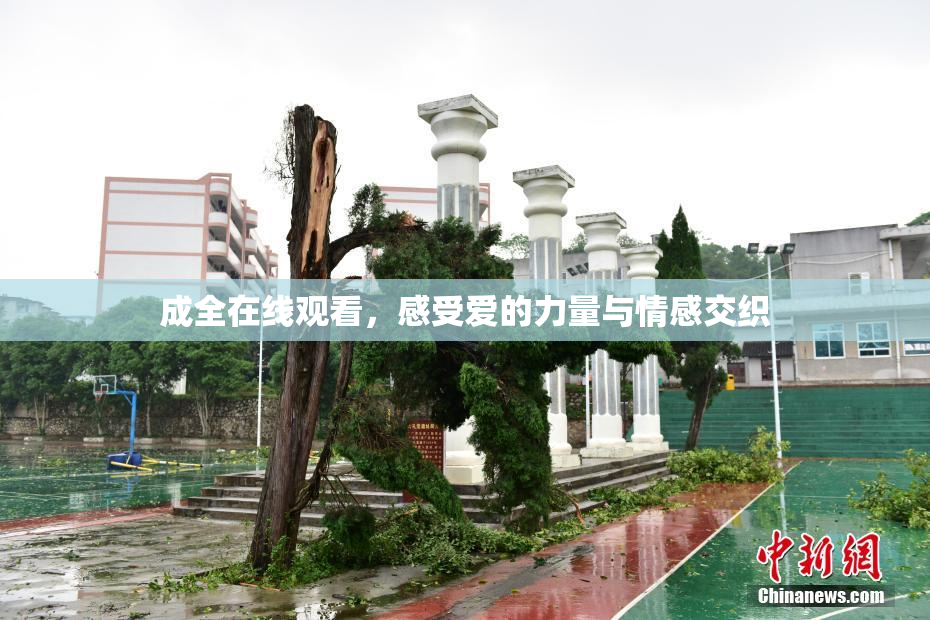 成全在线观看，感受爱的力量与情感交织