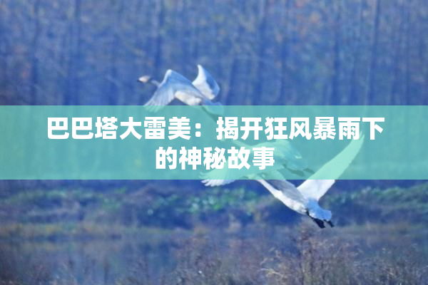 巴巴塔大雷美：揭开狂风暴雨下的神秘故事