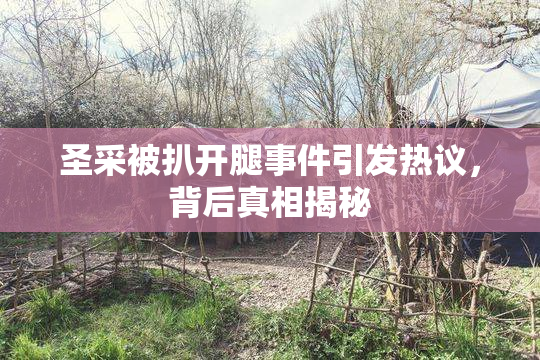 圣采被扒开腿事件引发热议，背后真相揭秘