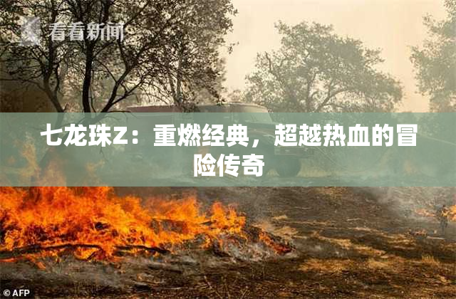 七龙珠Z：重燃经典，超越热血的冒险传奇