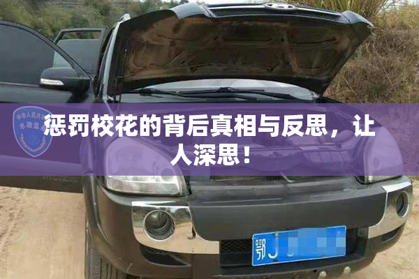 惩罚校花的背后真相与反思，让人深思！