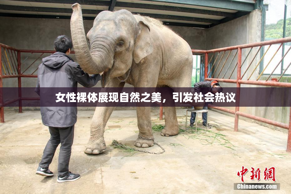女性裸体展现自然之美，引发社会热议