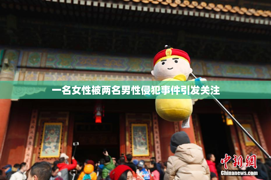 一名女性被两名男性侵犯事件引发关注