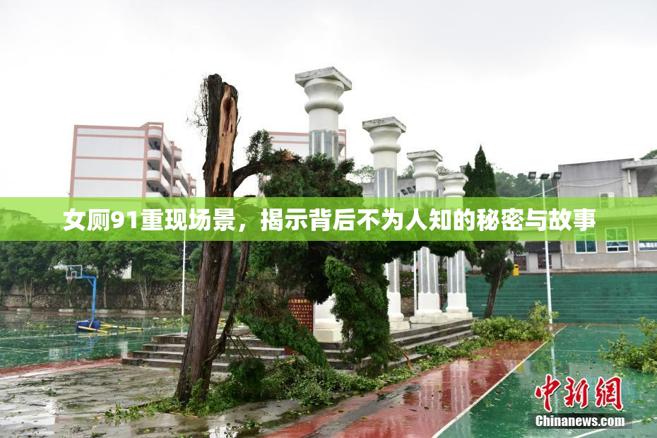女厕91重现场景，揭示背后不为人知的秘密与故事