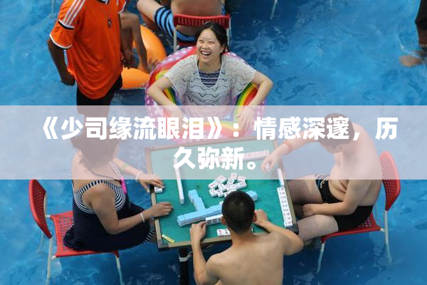《少司缘流眼泪》：情感深邃，历久弥新。
