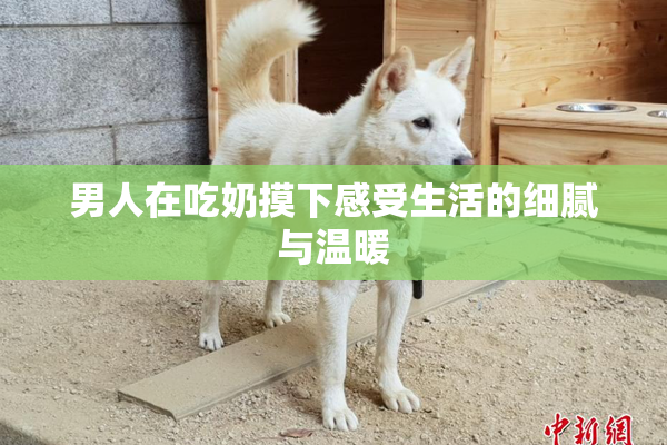 男人在吃奶摸下感受生活的细腻与温暖