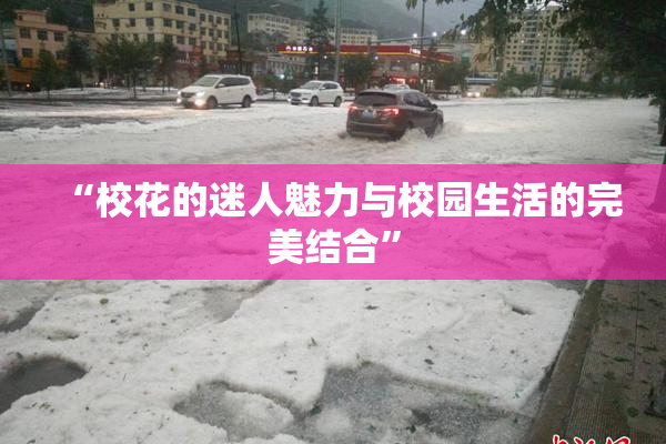 “校花的迷人魅力与校园生活的完美结合”