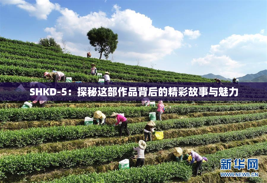 SHKD-5：探秘这部作品背后的精彩故事与魅力