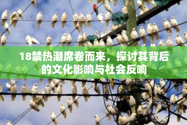 18禁热潮席卷而来，探讨其背后的文化影响与社会反响
