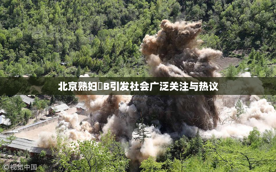 北京熟妇槡B引发社会广泛关注与热议