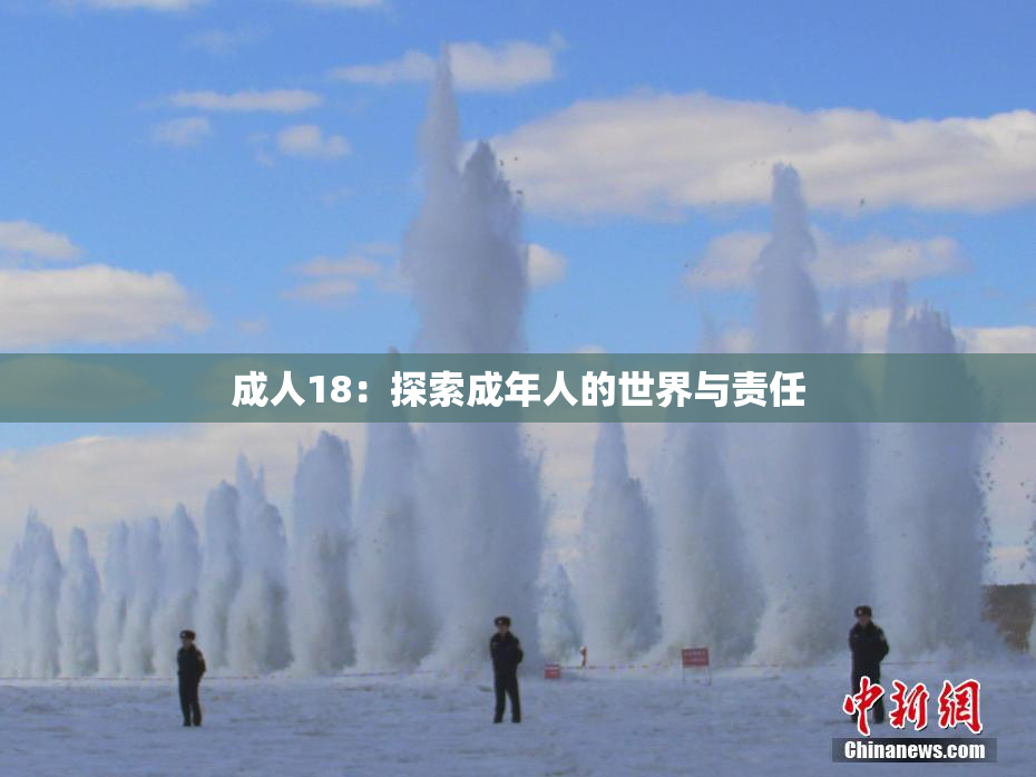 成人18：探索成年人的世界与责任