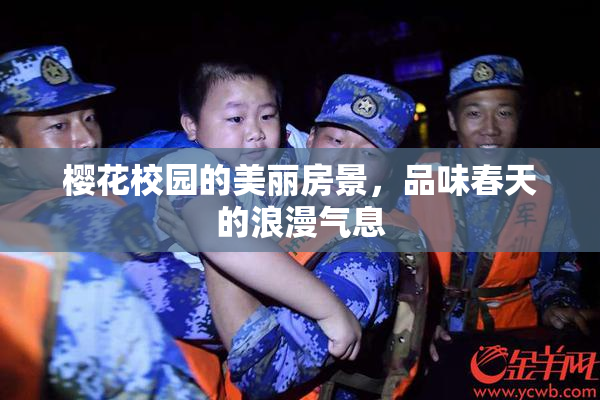 樱花校园的美丽房景，品味春天的浪漫气息