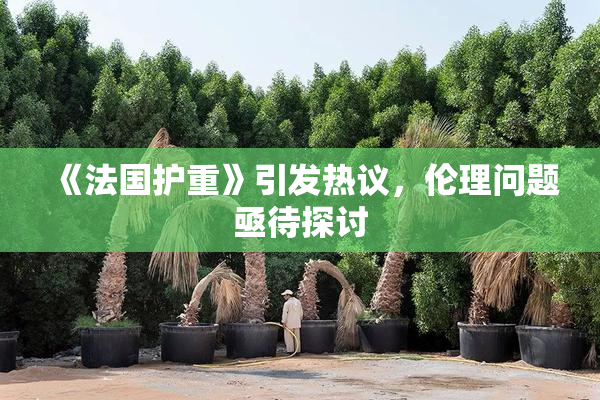 《法国护重》引发热议，伦理问题亟待探讨
