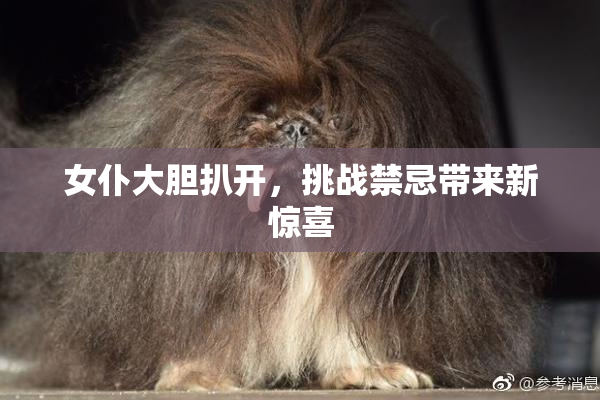 女仆大胆扒开，挑战禁忌带来新惊喜