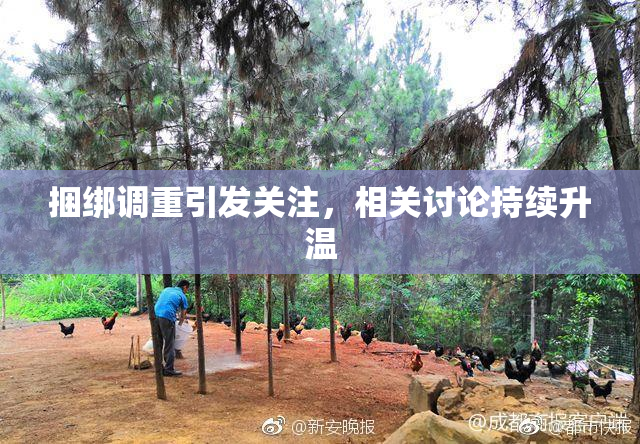 捆绑调重引发关注，相关讨论持续升温
