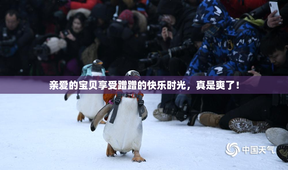 亲爱的宝贝享受蹭蹭的快乐时光，真是爽了！