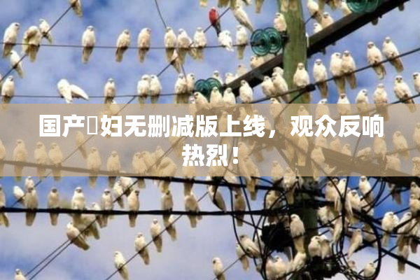 国产婬妇无删减版上线，观众反响热烈！
