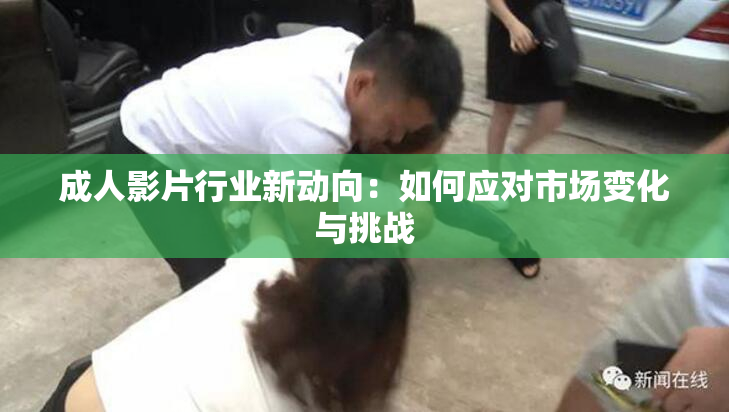 成人影片行业新动向：如何应对市场变化与挑战