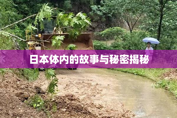 日本体内的故事与秘密揭秘