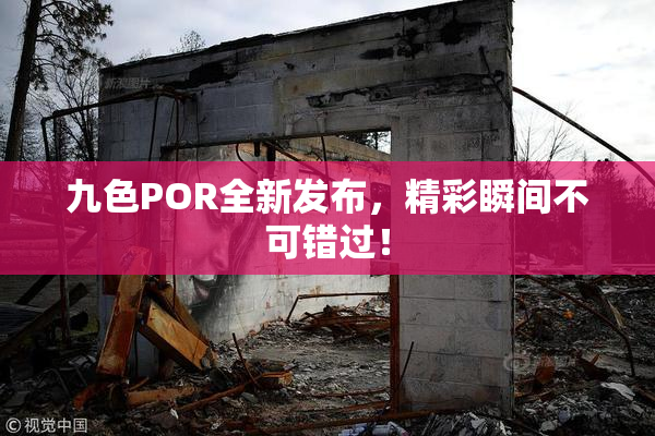 九色POR全新发布，精彩瞬间不可错过！