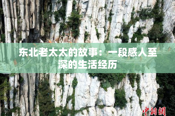 东北老太太的故事：一段感人至深的生活经历