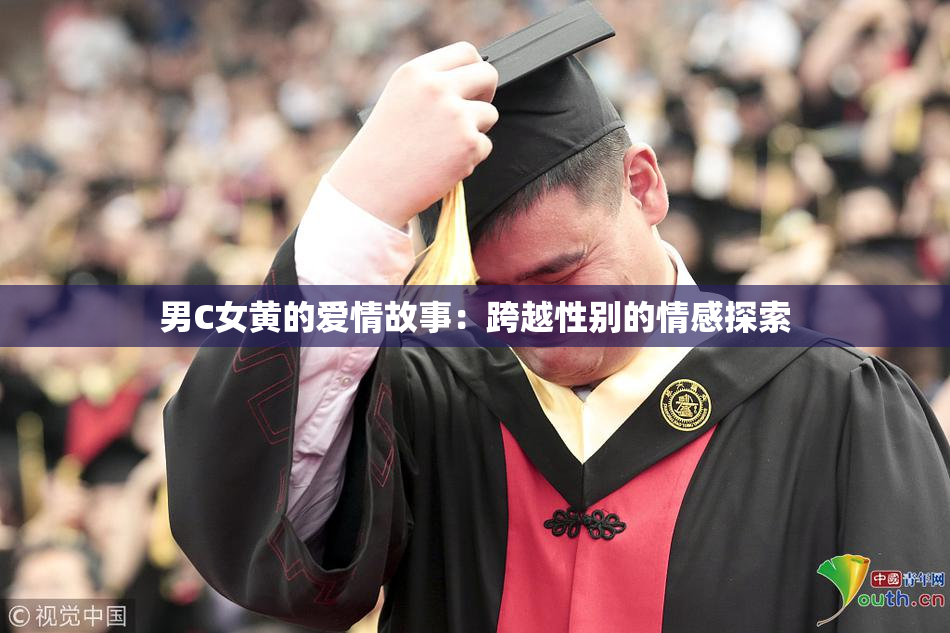 男C女黄的爱情故事：跨越性别的情感探索