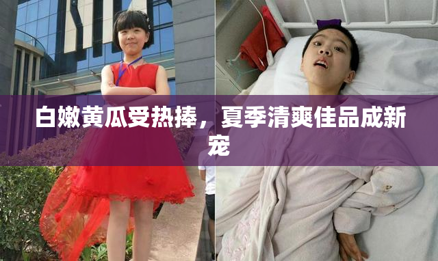 白嫩黄瓜受热捧，夏季清爽佳品成新宠