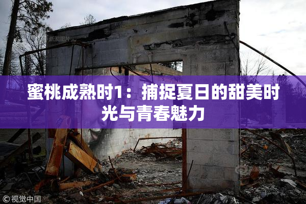 蜜桃成熟时1：捕捉夏日的甜美时光与青春魅力