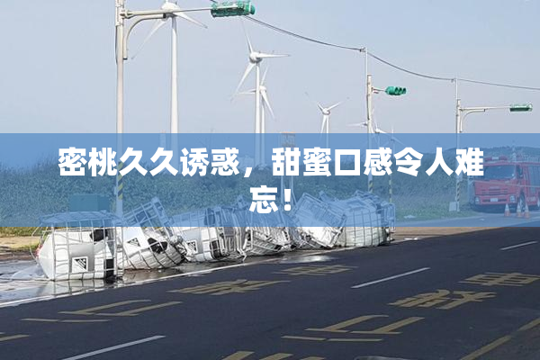 密桃久久诱惑，甜蜜口感令人难忘！
