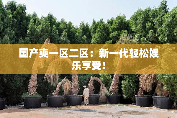 国产爽一区二区：新一代轻松娱乐享受！