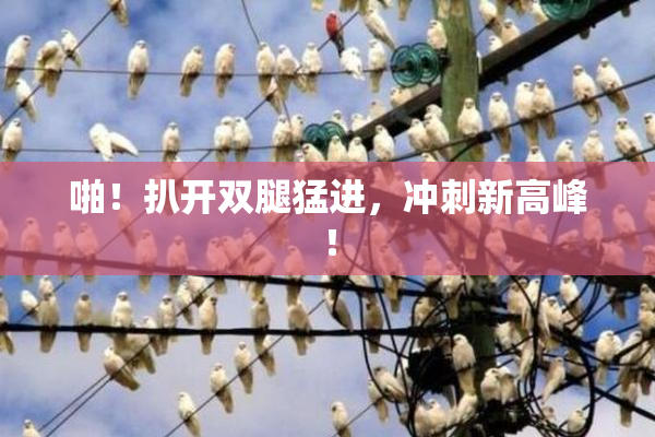 啪！扒开双腿猛进，冲刺新高峰！