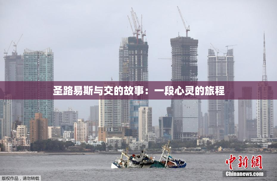 圣路易斯与交的故事：一段心灵的旅程