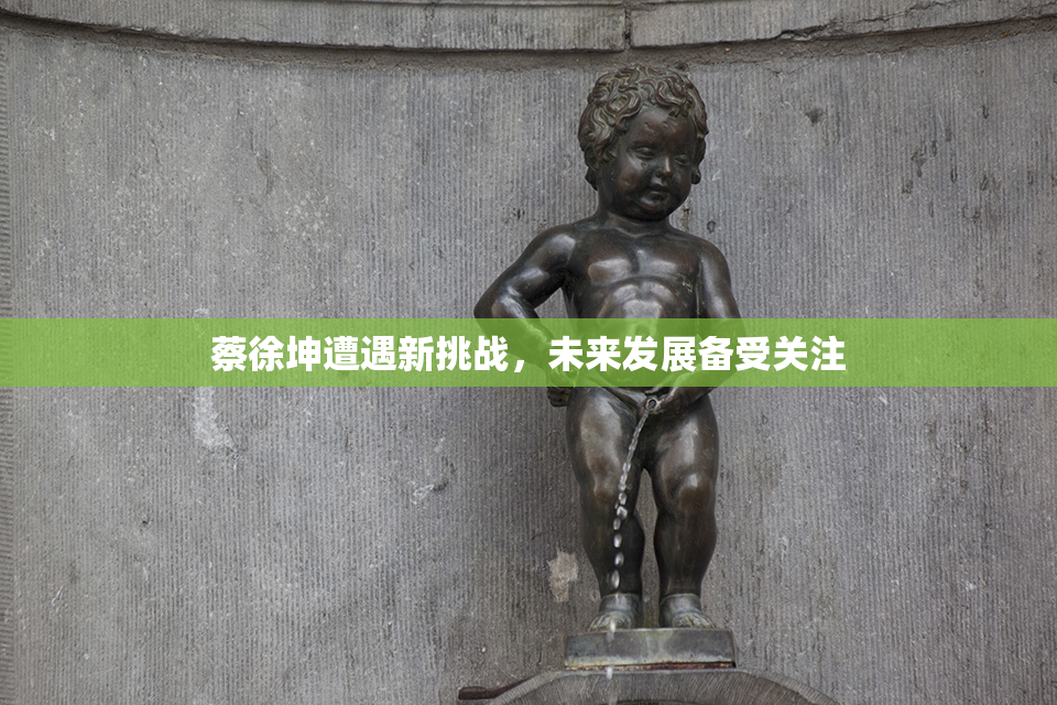 蔡徐坤遭遇新挑战，未来发展备受关注