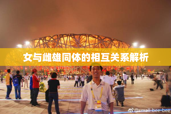 女与雌雄同体的相互关系解析