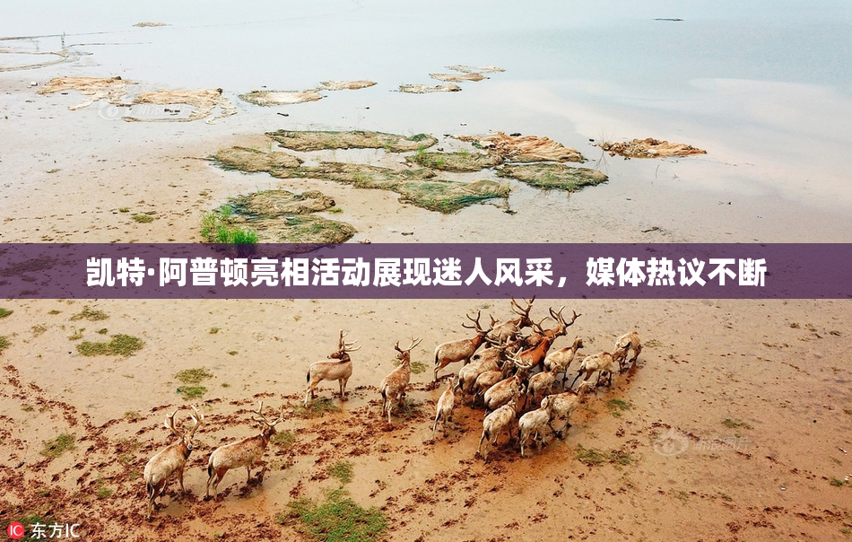 凯特·阿普顿亮相活动展现迷人风采，媒体热议不断