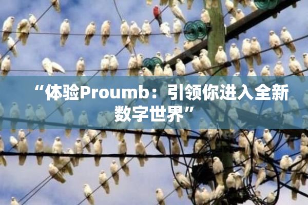 “体验Proumb：引领你进入全新数字世界”