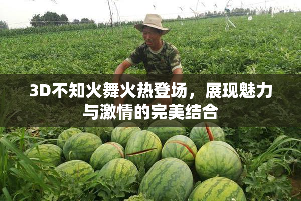 3D不知火舞火热登场，展现魅力与激情的完美结合