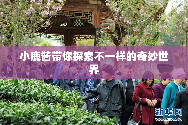 小鹿酱带你探索不一样的奇妙世界