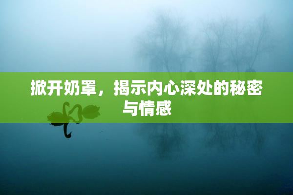 掀开奶罩，揭示内心深处的秘密与情感